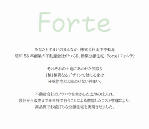 Fortesetumeibun